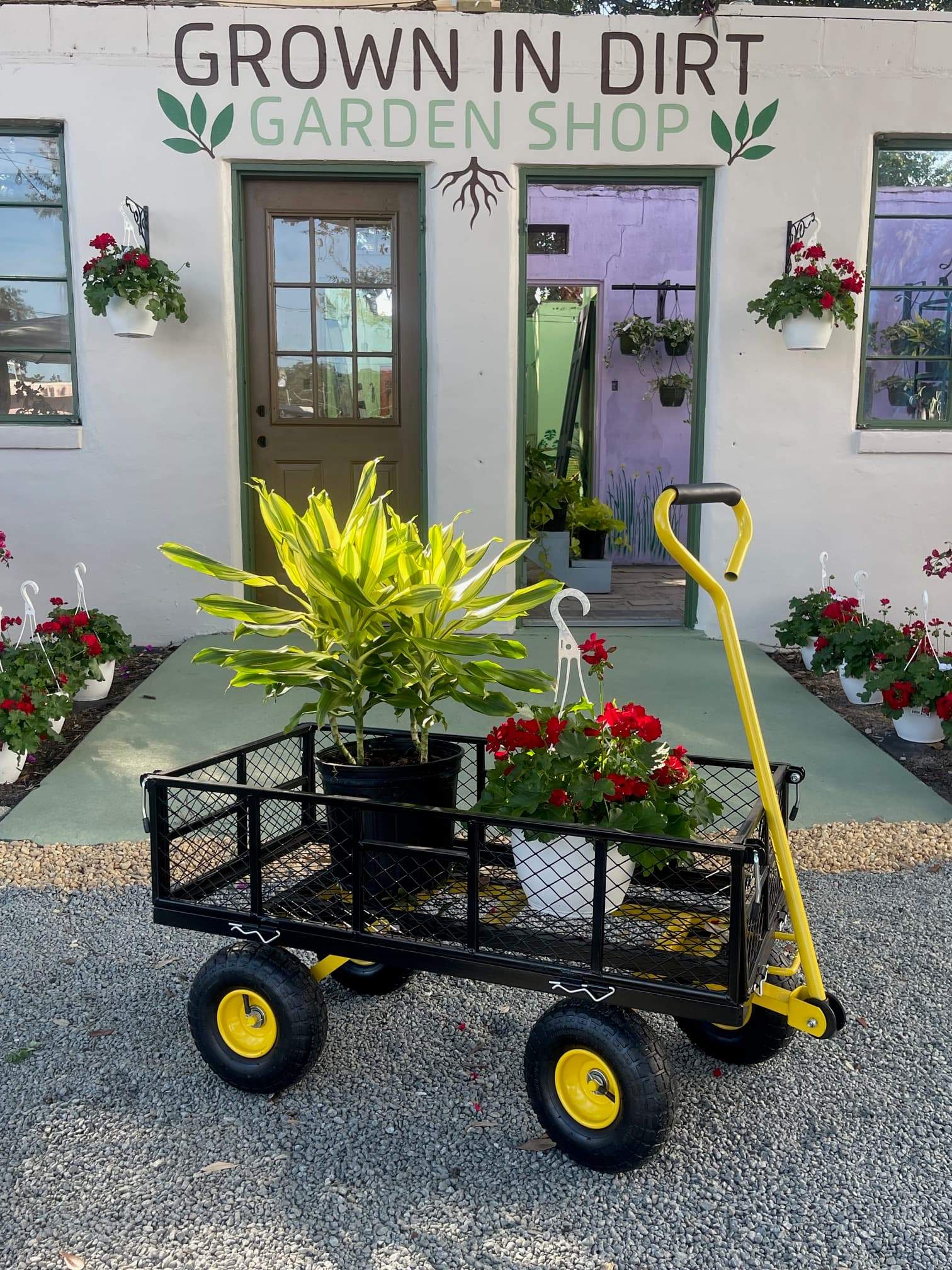 A person caring for plants