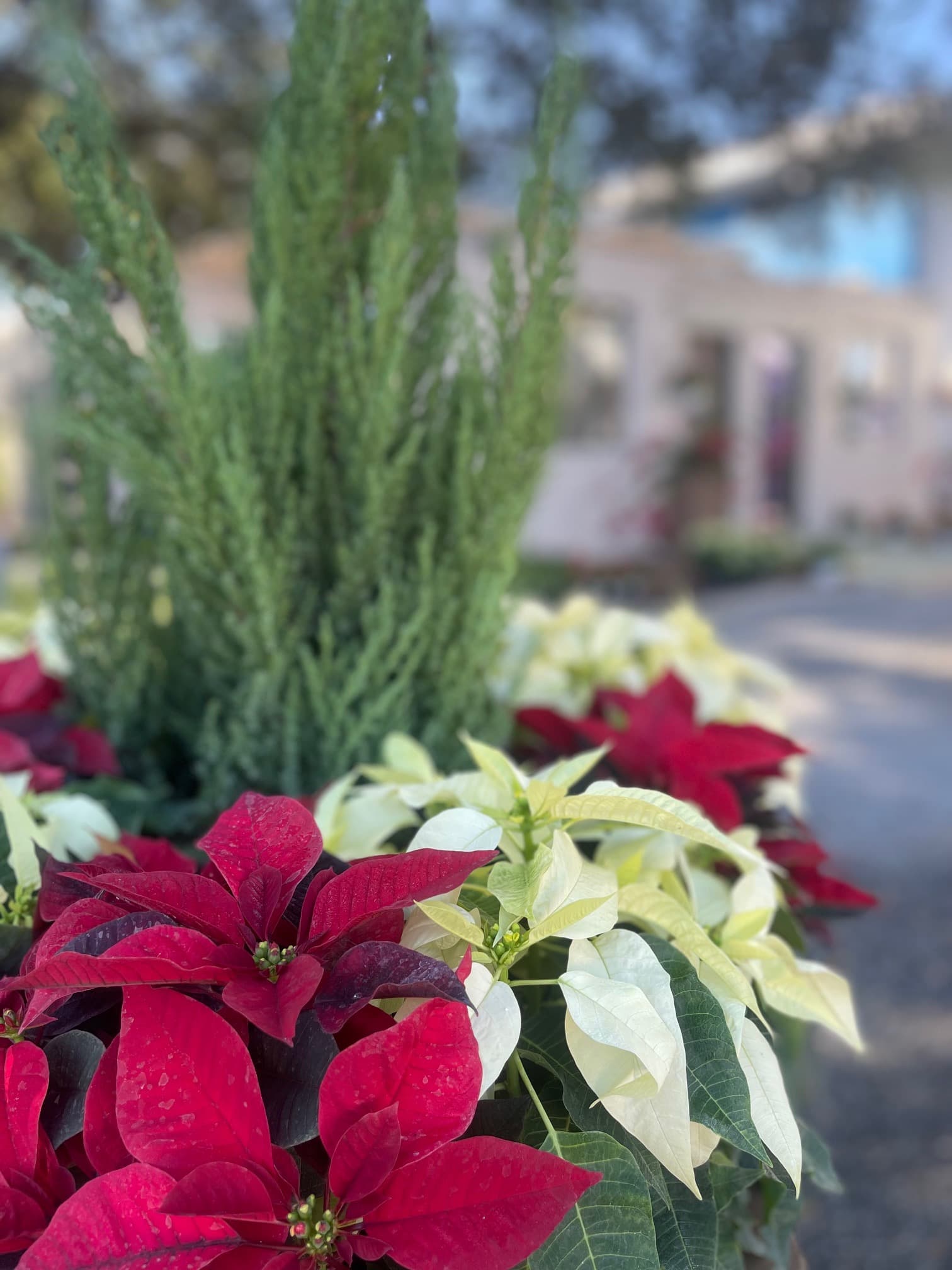 A cozy corner in the garden shop