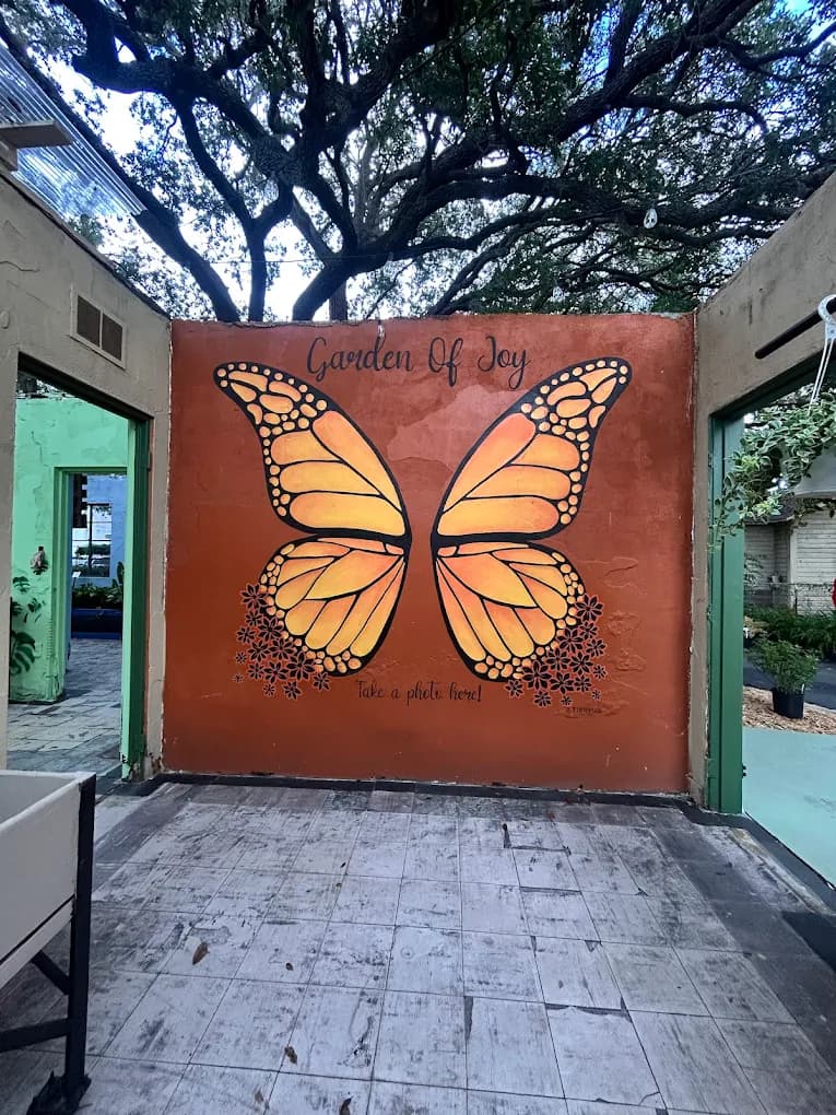 Plant display in the shop