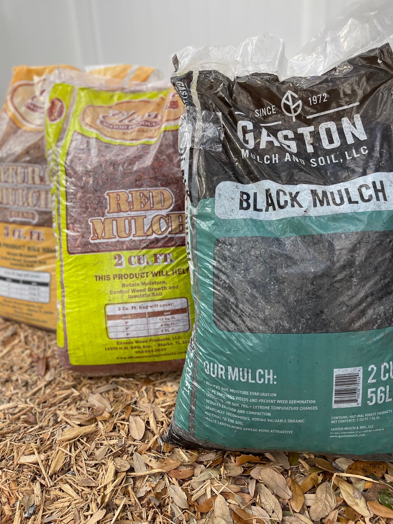 A customer admiring a plant