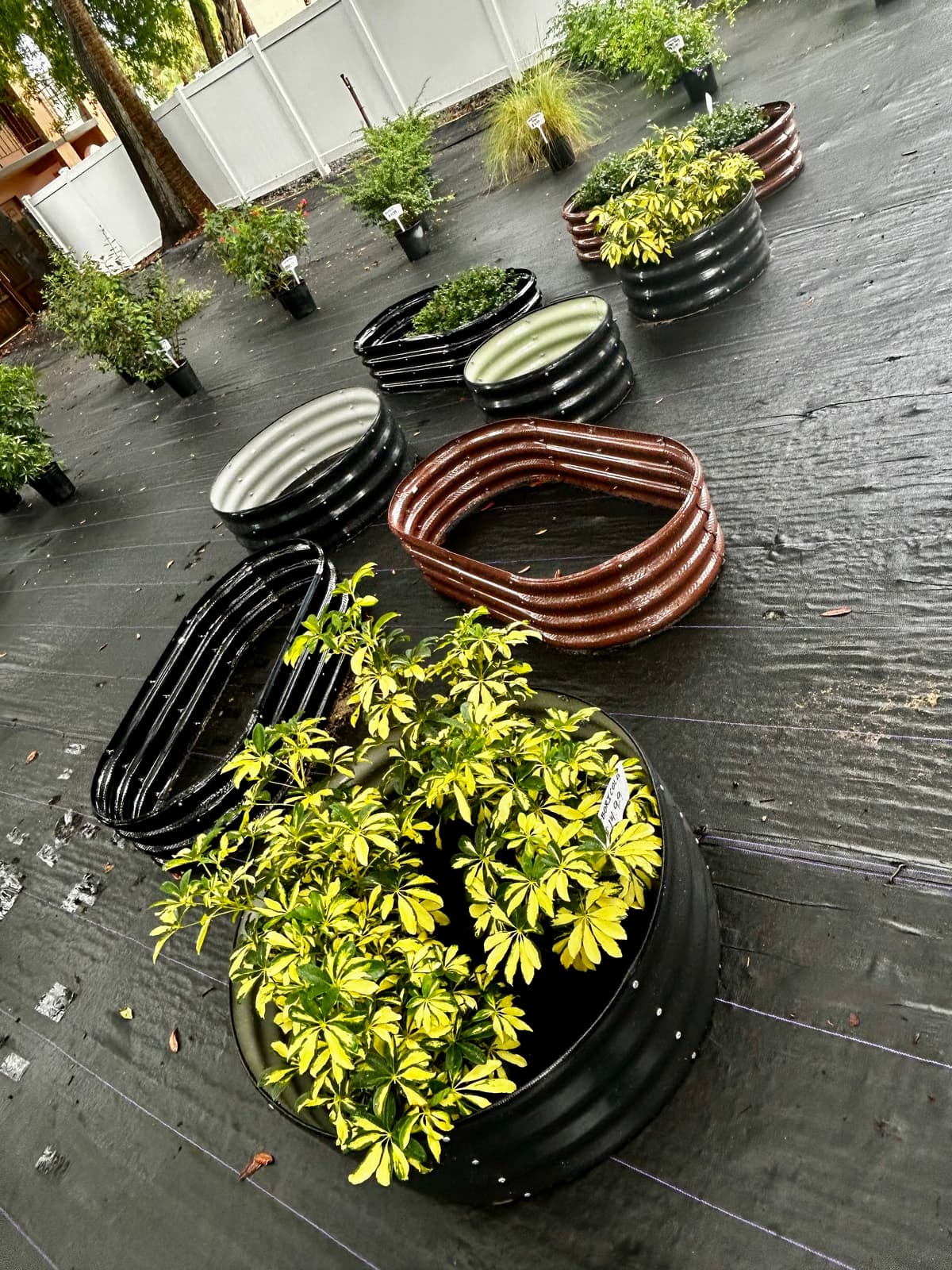Beautiful corrugated raised planter beds filled with healthy vegetables